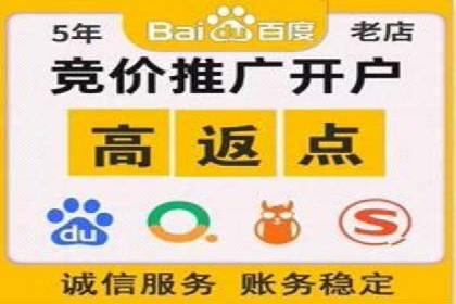 百度竞价价格解析，成功案例分享